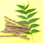 Neem Powder (Azadirachta indica) - Image 3